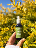 Turkey Tail Mushroom Tincture (50ml)