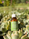 Ashwagandha Capsules(60pc)