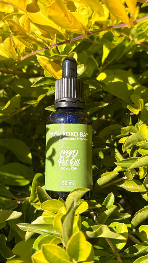 CBD Pet Oil 600mg