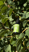CBD Pet Oil 600mg