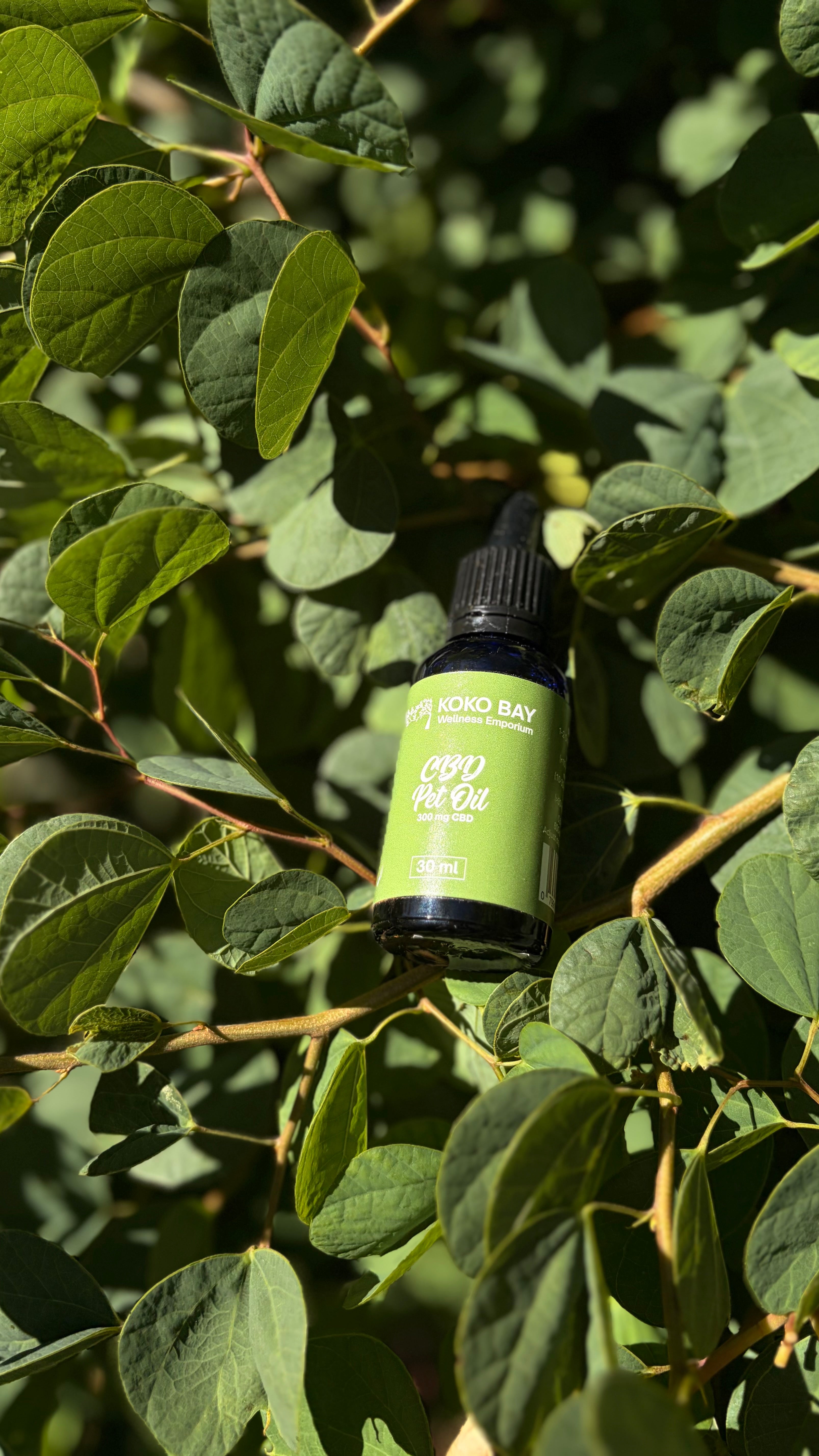 CBD Pet Oil 600mg