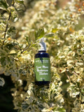 Lions Mane Mushroom Tincture (50ml)